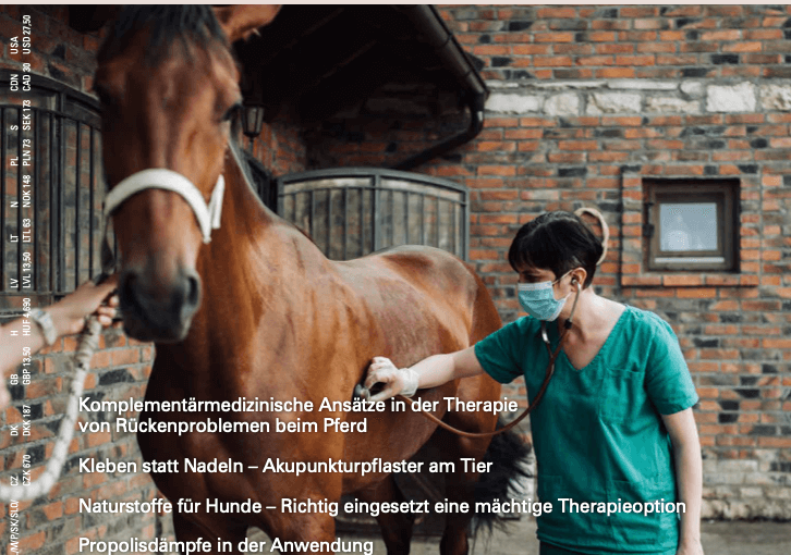 Komplementärmedizinische Ansätze in der Therapie von Rückenproblemen beim Pferd